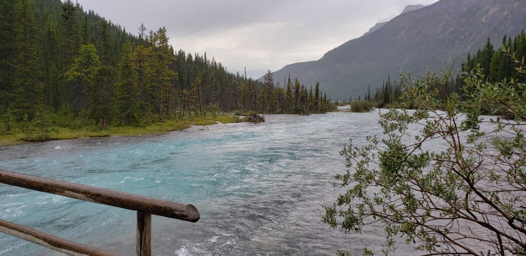 the river of past life exploration and healing